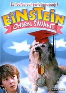 Завтрак с Эйнштейном / Breakfast with Einstein (1998)